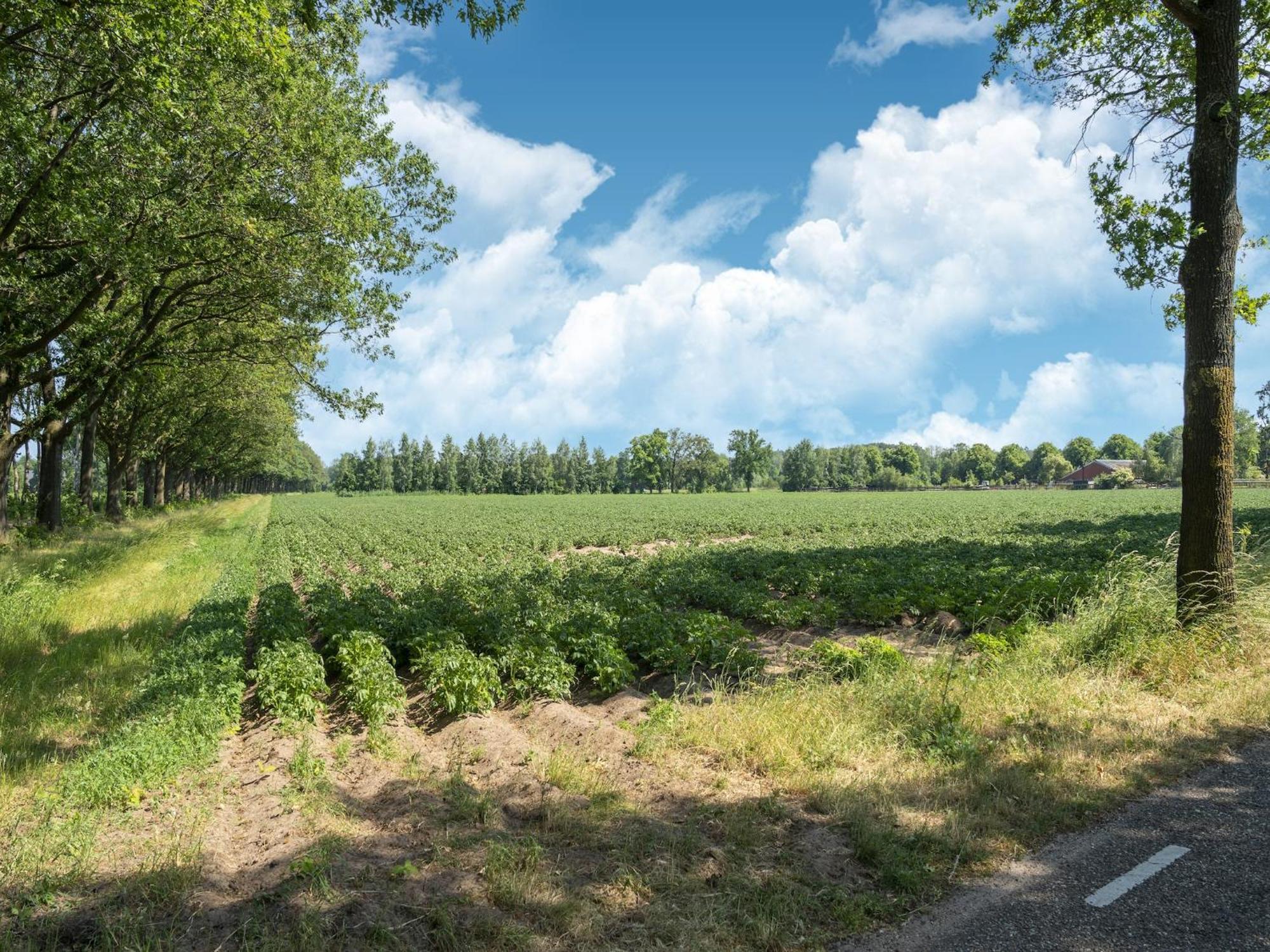 House With A Large Garden In Achterhoek Eibergen Buitenkant foto